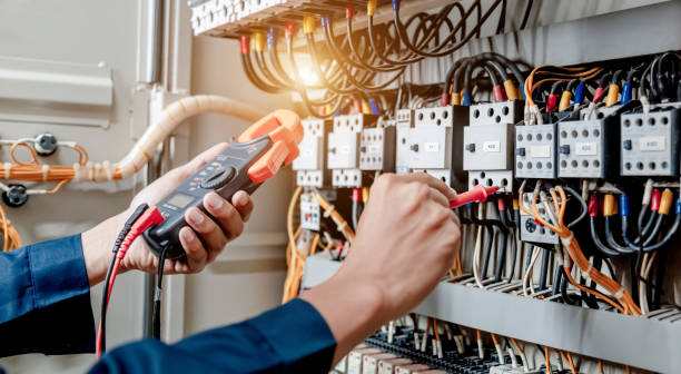 Best Electric Panel Repair  in Trenton, FL