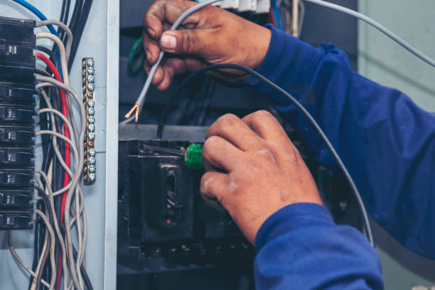 Best Electrician for Home Renovation  in Trenton, FL