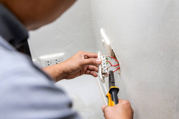Best Home Electrical Repair  in Trenton, FL