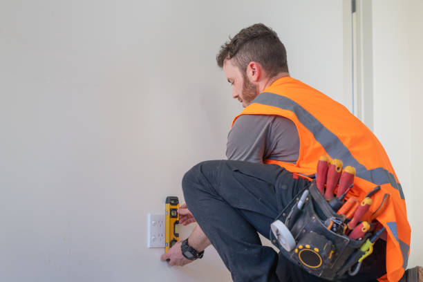 Best Ceiling Fan Installation Electrician  in Trenton, FL